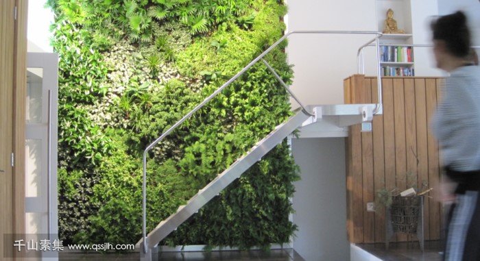 【洛阳植物墙】漂亮室内空间建造的生态绿化墙